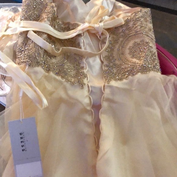 Chiffon Beads  Embroidered Prom or Wedding Dress - Picture 10 of 11